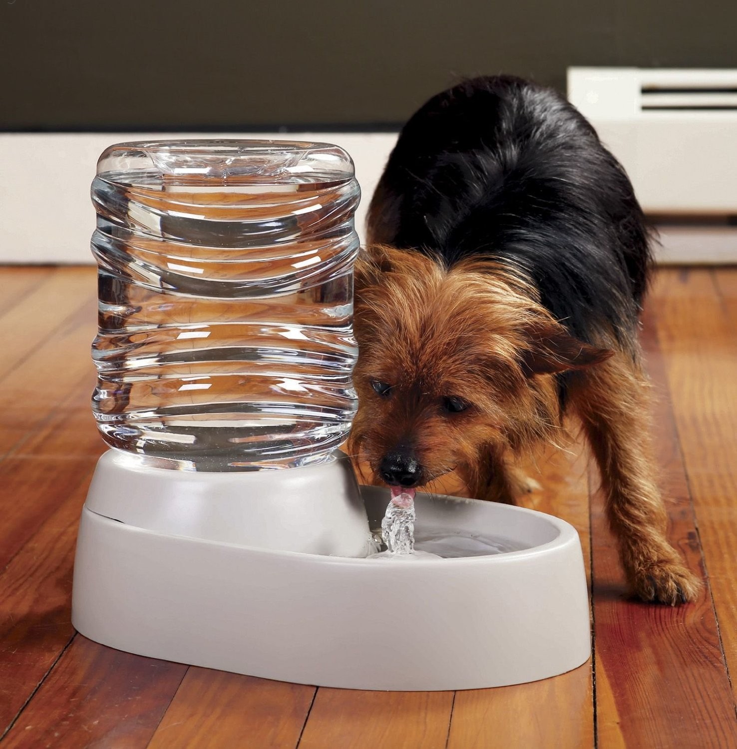 dog-cat-water-fountain-62-oz-automatic-pet-fountain-dog-water