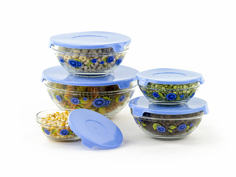 10 Pcs Glass Lunch Bowls Food Storage Containers Set With Lids & Flower
