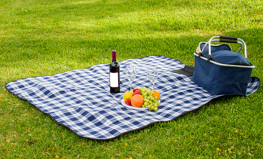 Soft Picnic Blanket Travel Camping Mat or Beach Mat (Blue Plaid, 50