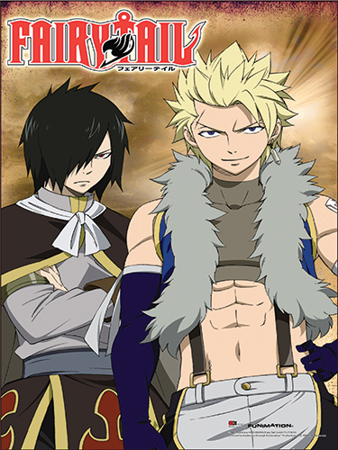 Fairy Tail Dragon Slayer Twins Anime Poster GE-79271 | eBay