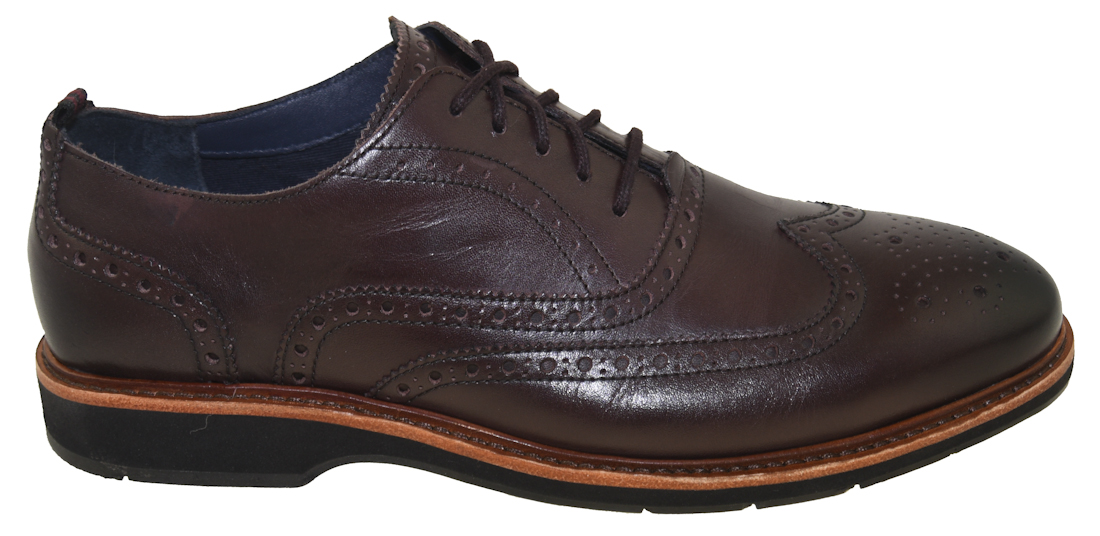morris wingtip oxford cole haan