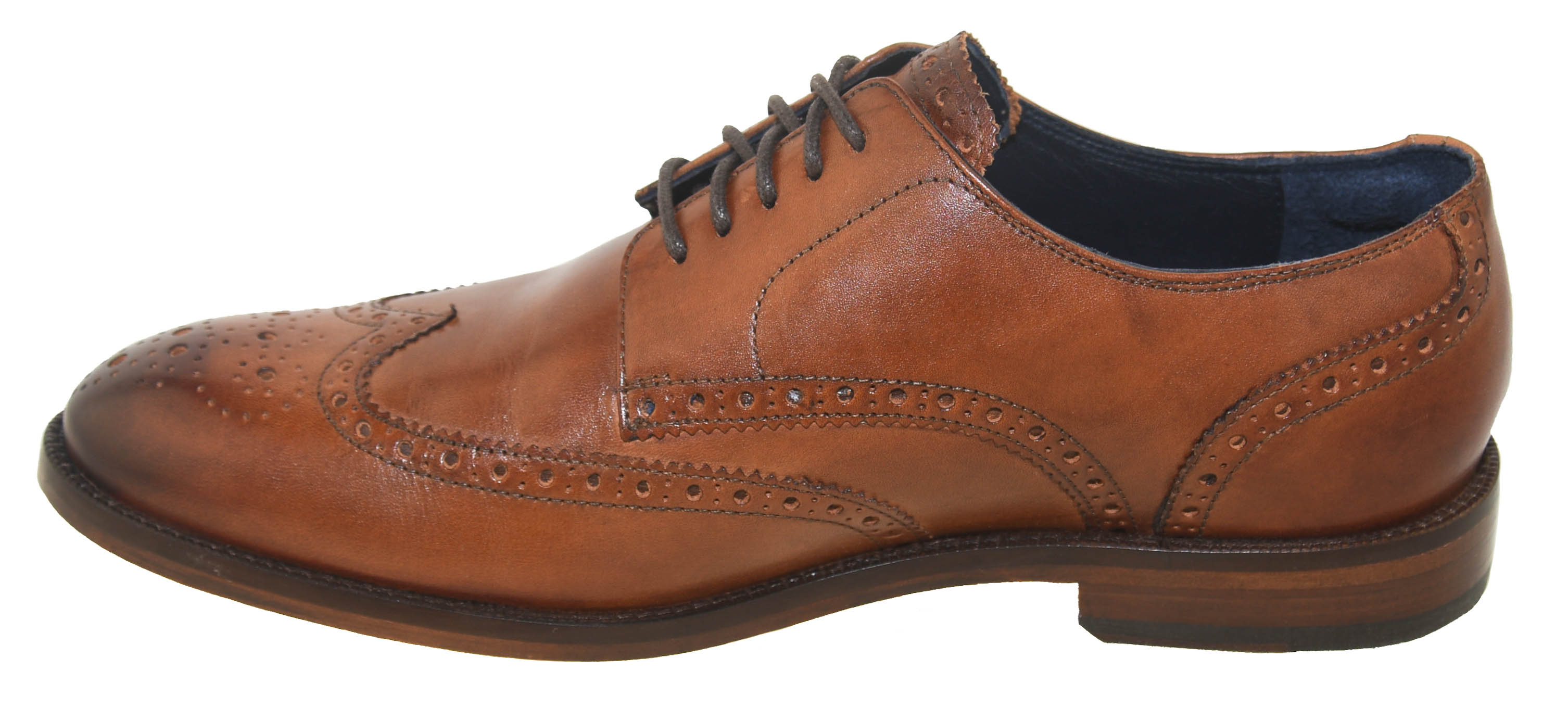 cole haan harrison wingtip oxfords