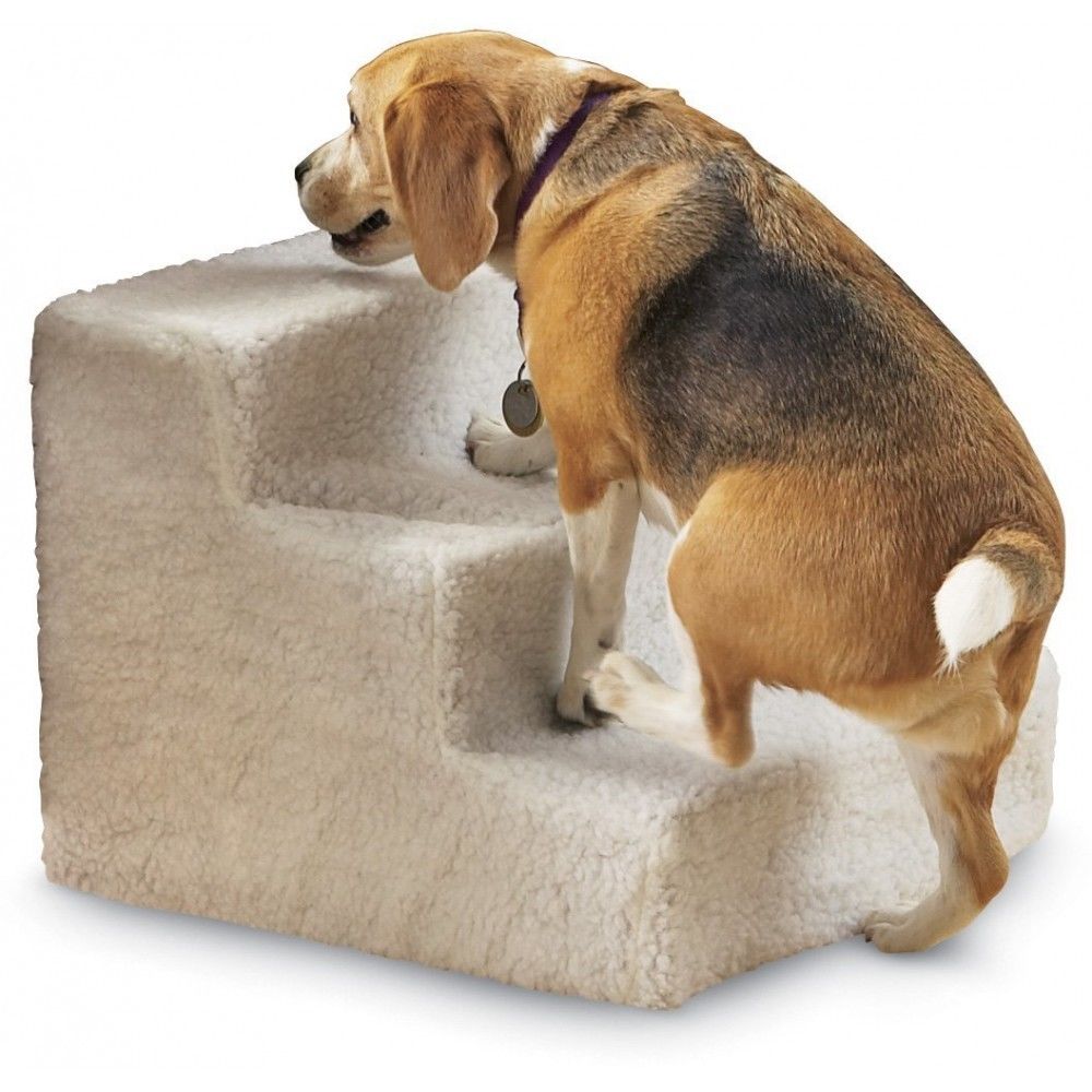 Doggy or Cat Stairs